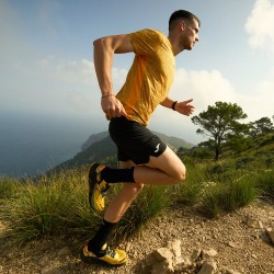 Camiseta Joma Nature Oro